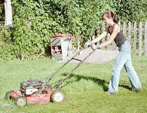 houseworkgraphic8.jpg (113615 bytes)